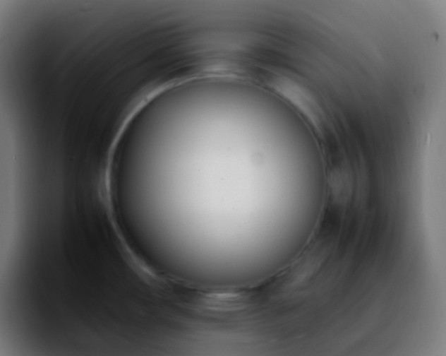 X0000092241482200709211034