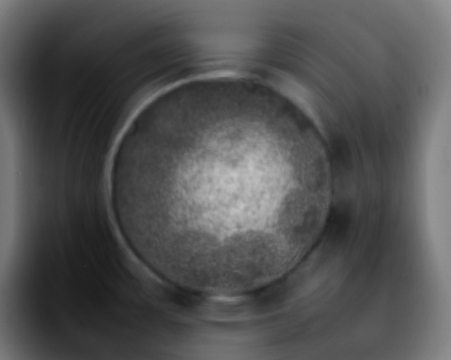 X0000092241483200709211034