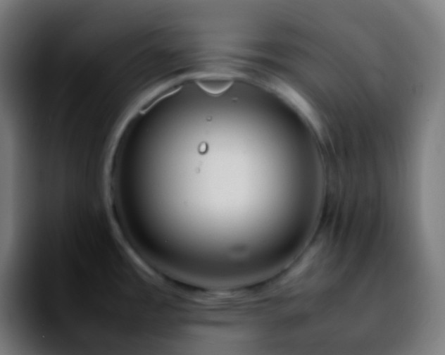 X0000092241485200709211034