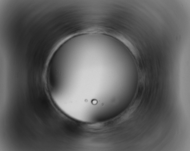 X0000092241486200709211034