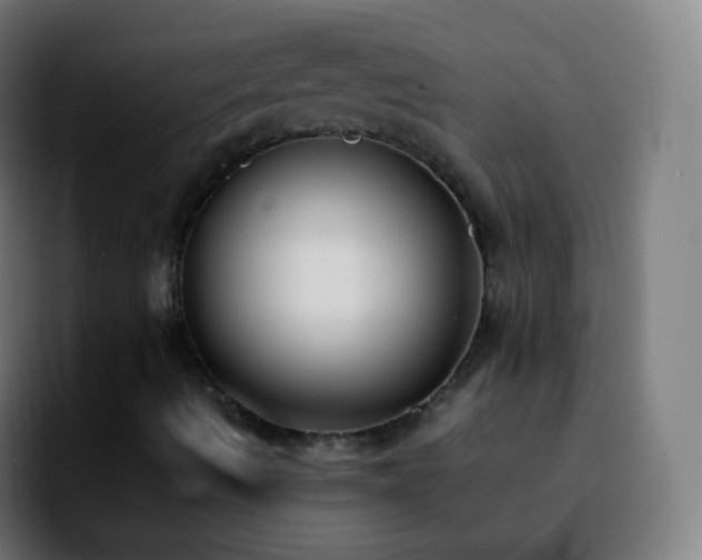 X0000092241490200709211034