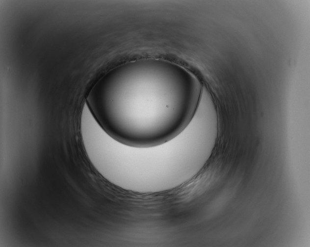 X0000092241492200709211034