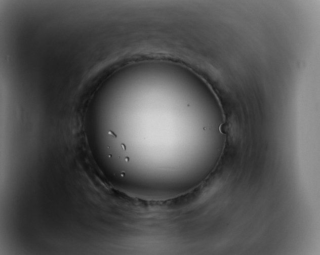 X0000092241494200709211034