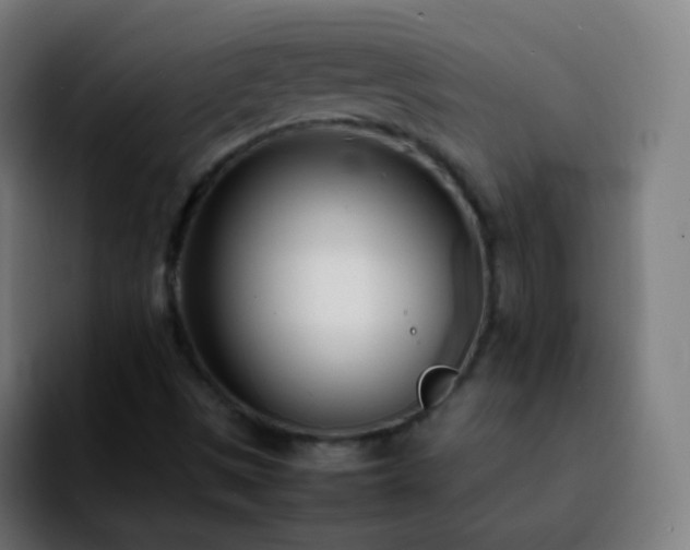 X0000092241497200709211034