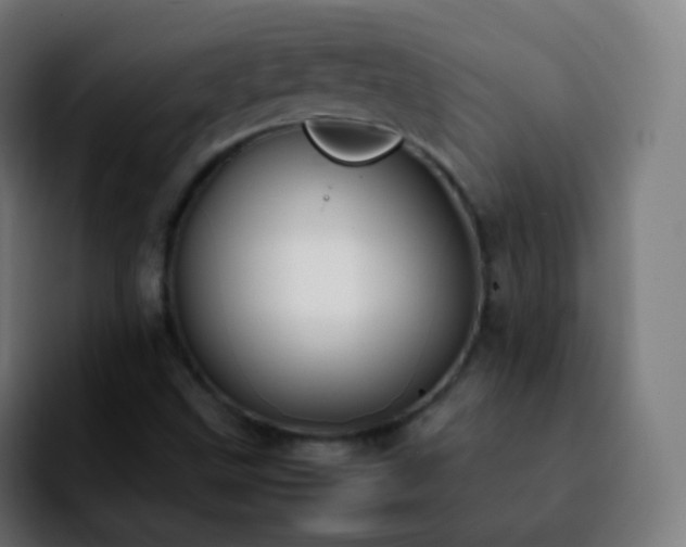 X0000092241499200709211034