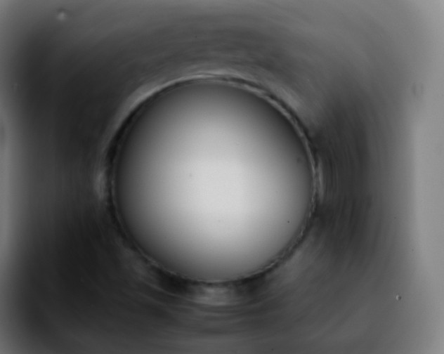 X0000092241501200709211034