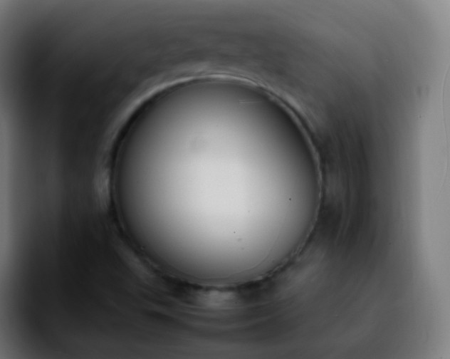 X0000092241503200709211034