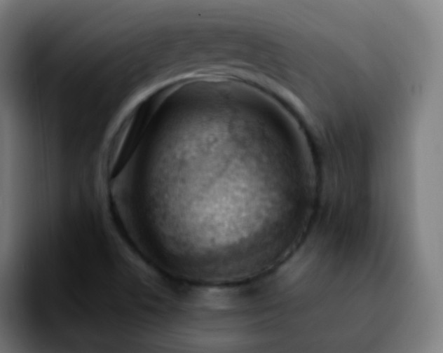 X0000092241506200709211034