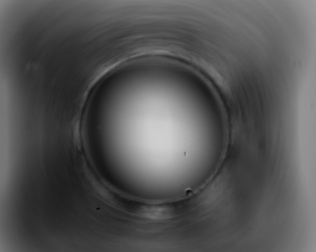 X0000092241513200709211034