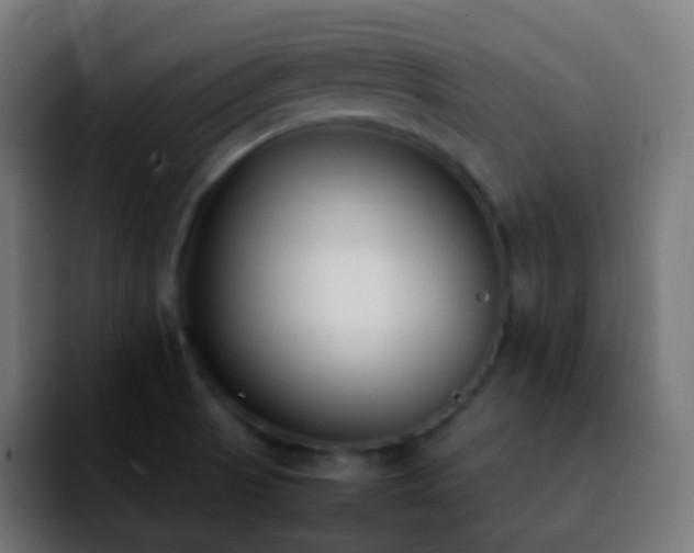 X0000092241521200709211034