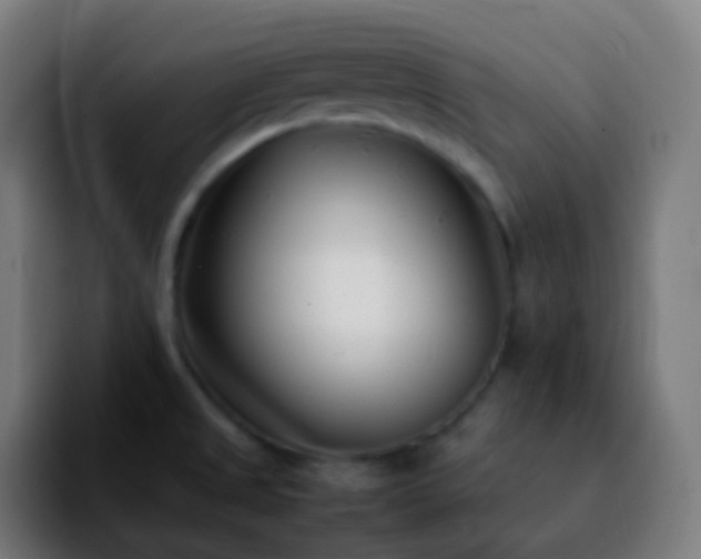 X0000092241525200709211034