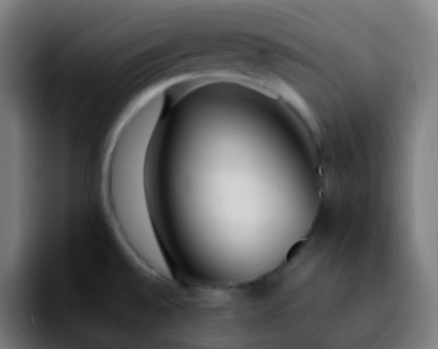 X0000092241528200709211034