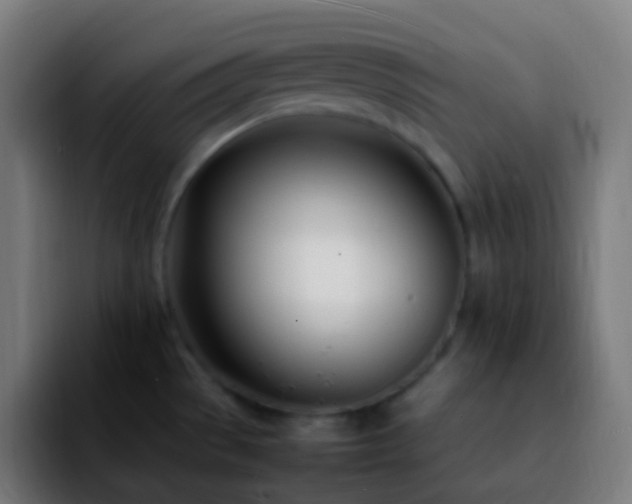 X0000092241529200709211034