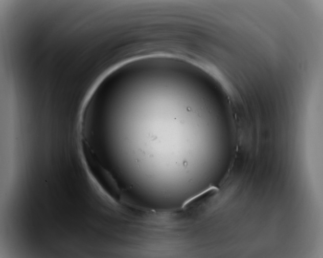 X0000092241532200709211034