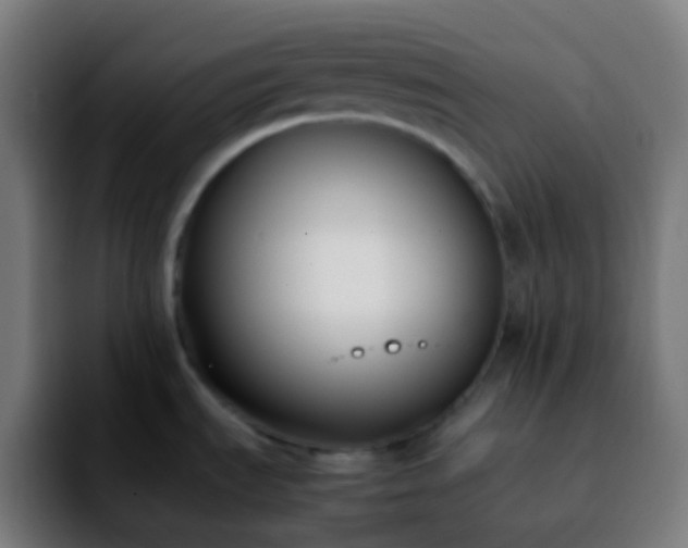 X0000092241535200709211034