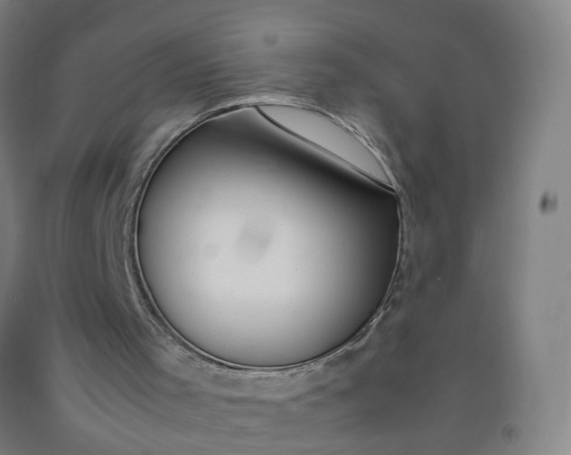 X0000092240001200709281133