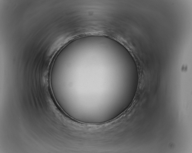 X0000092240002200709281133