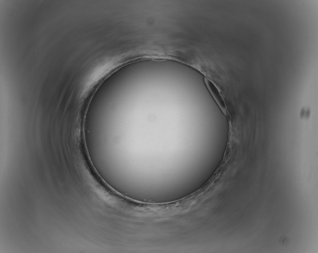 X0000092240005200709281133