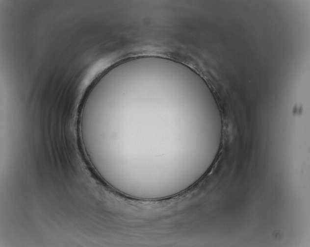 X0000092240006200709281133