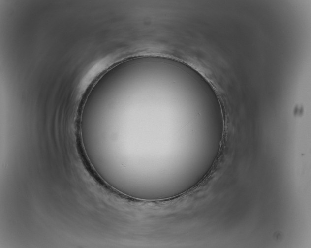 X0000092240007200709281133