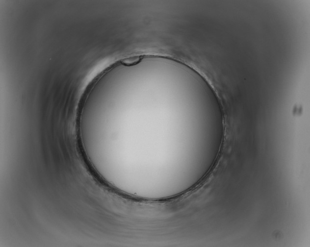 X0000092240008200709281133