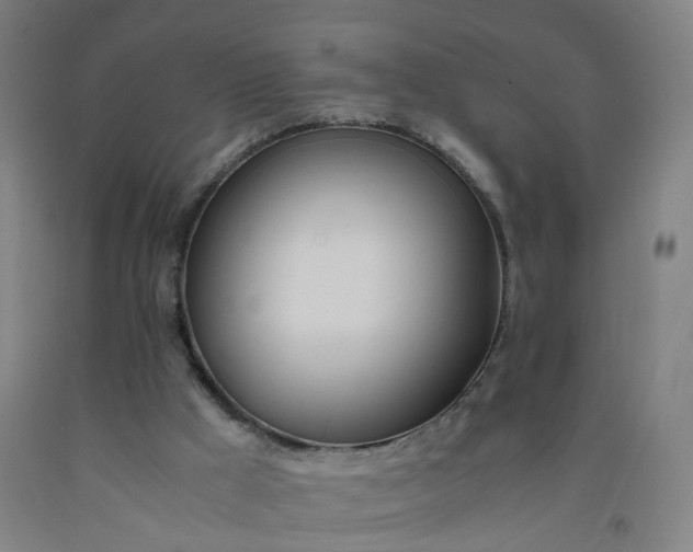 X0000092240009200709281133