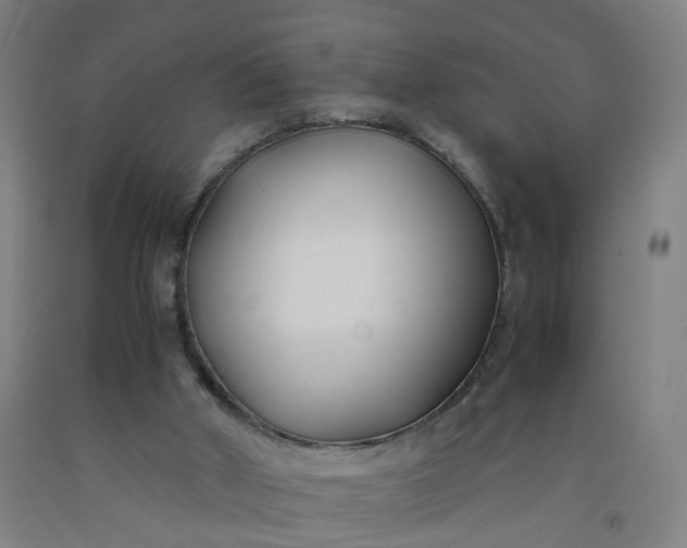 X0000092240010200709281133