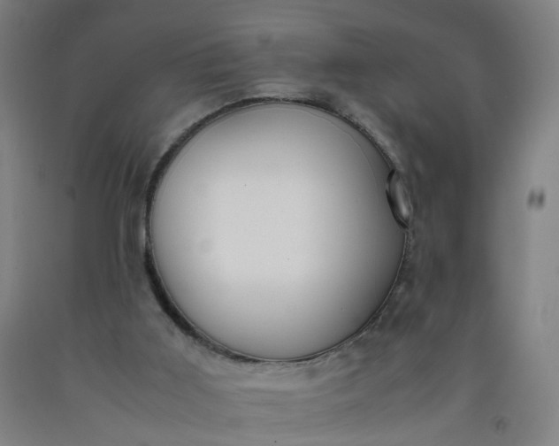 X0000092240011200709281133