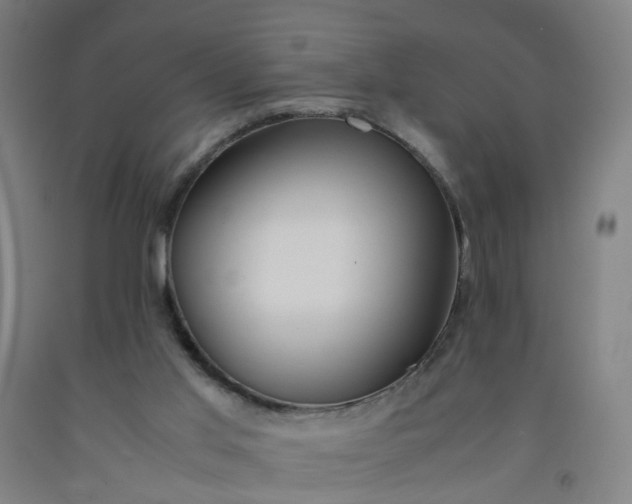 X0000092240013200709281133