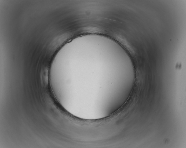 X0000092240014200709281133