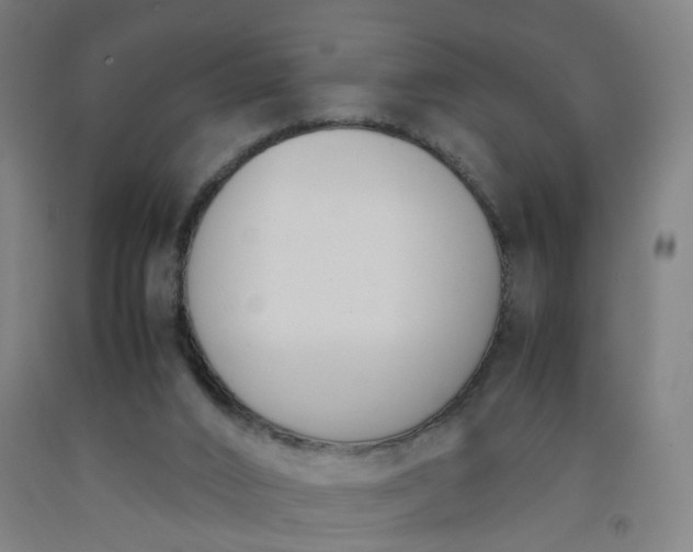 X0000092240016200709281133