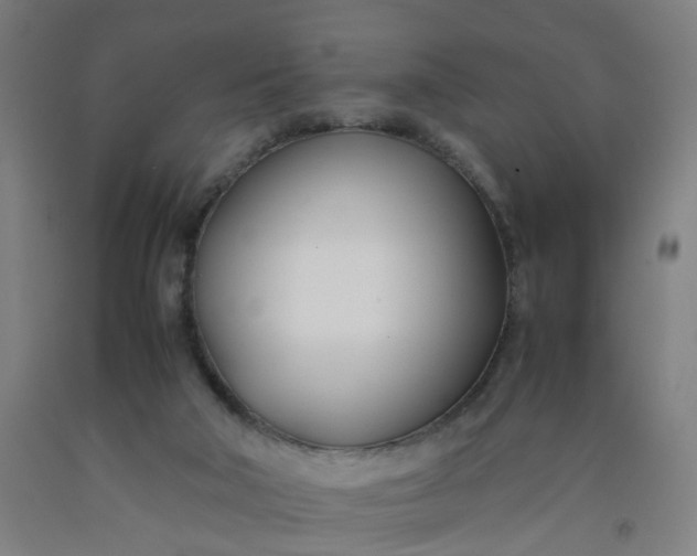 X0000092240018200709281133