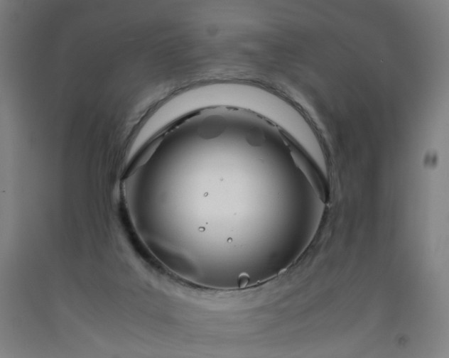 X0000092240019200709281133