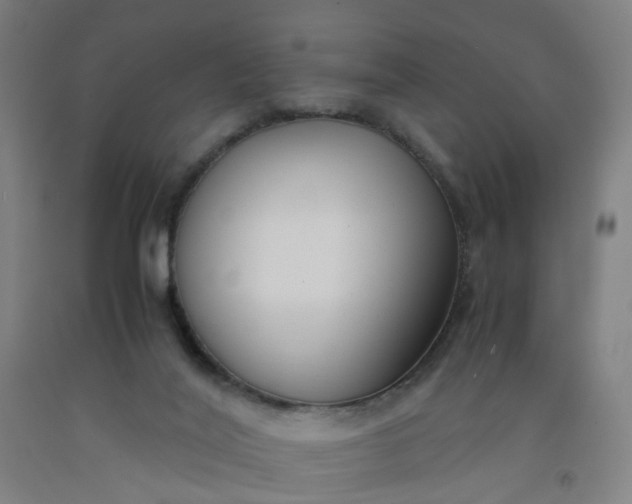 X0000092240020200709281133