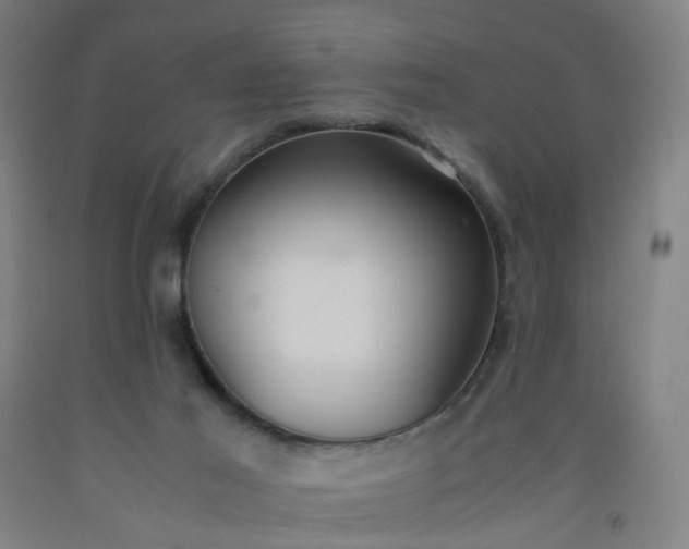 X0000092240021200709281133