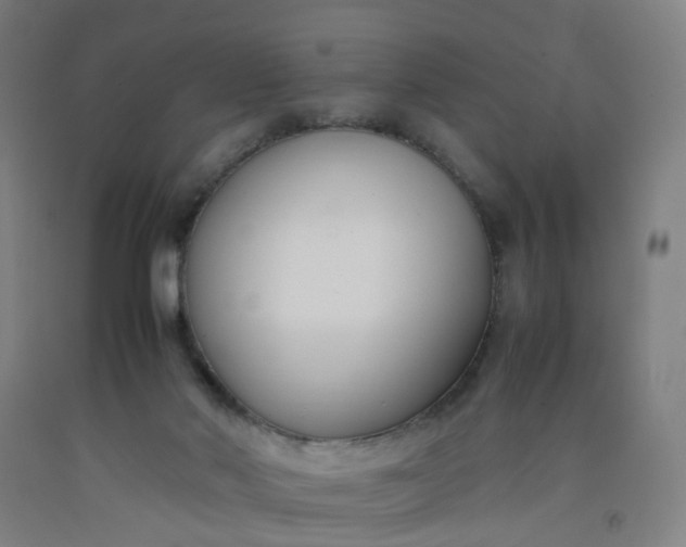 X0000092240022200709281133