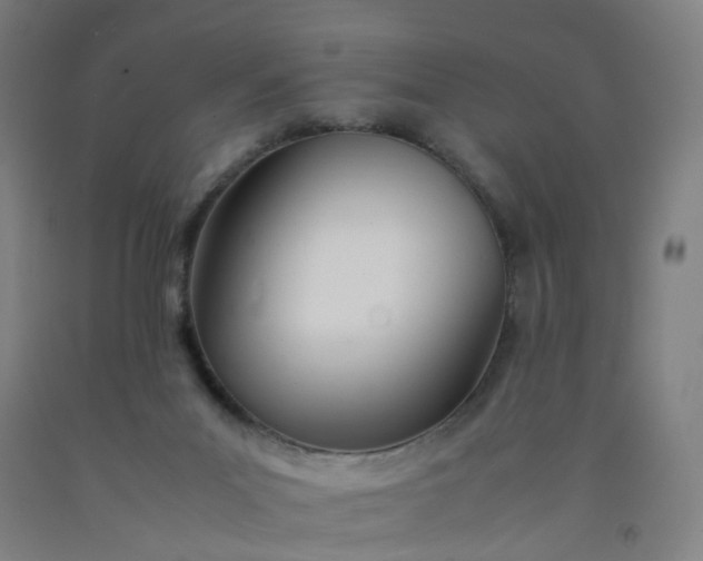 X0000092240023200709281133