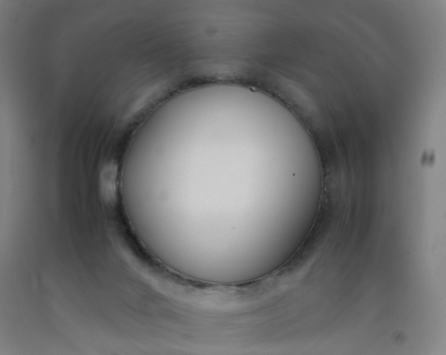 X0000092240024200709281133