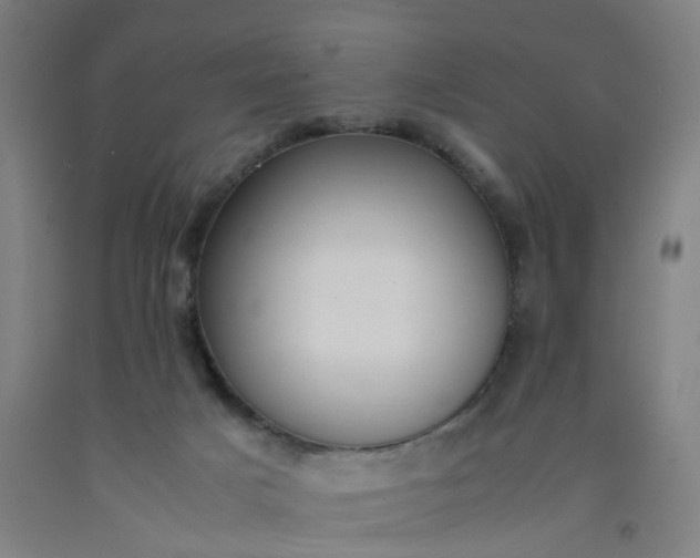 X0000092240025200709281133