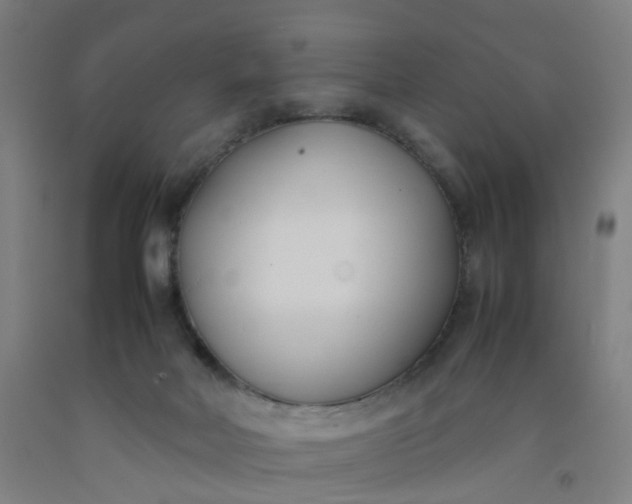 X0000092240026200709281133