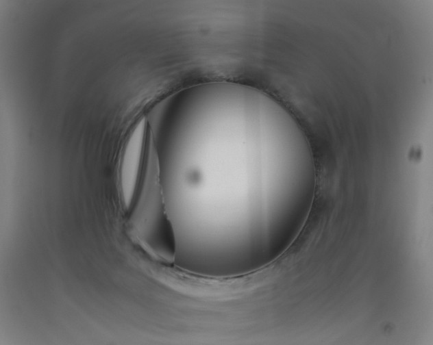 X0000092240027200709281133