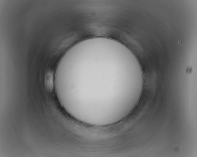 X0000092240028200709281133