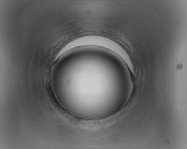 X0000092240029200709281133