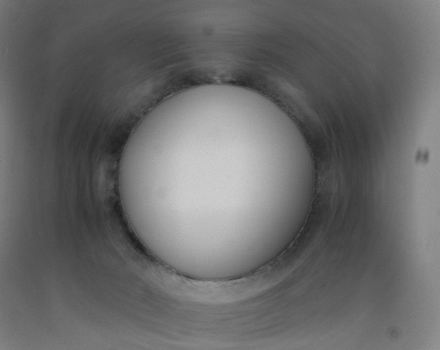 X0000092240030200709281133