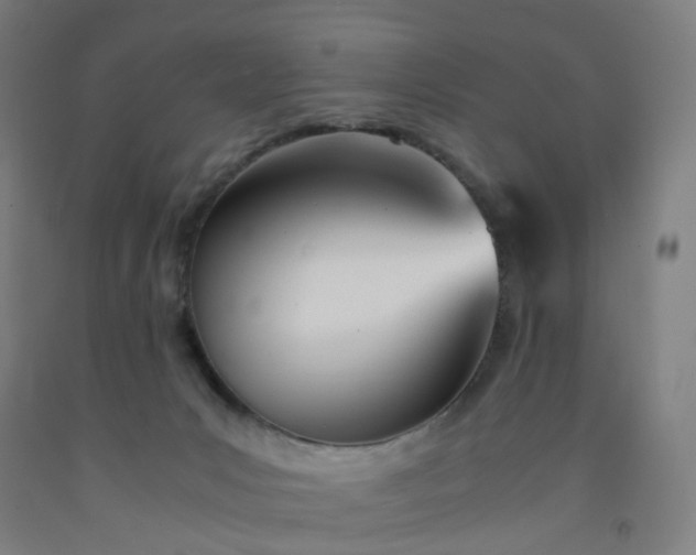 X0000092240031200709281133