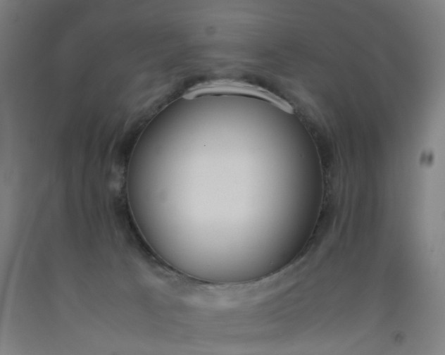 X0000092240033200709281133