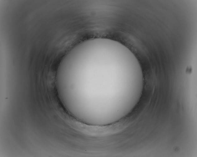 X0000092240034200709281133