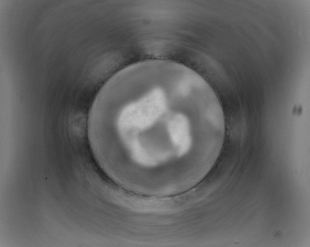 X0000092240036200709281133