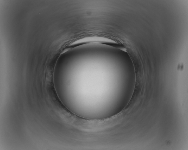 X0000092240037200709281133