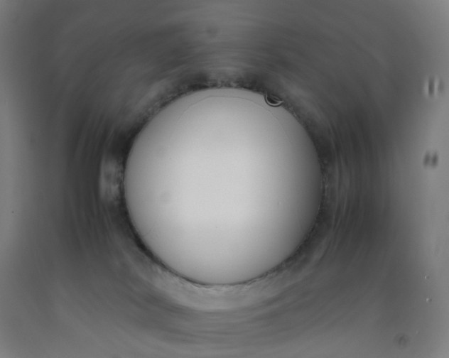 X0000092240038200709281133